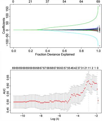 Development and Validation of Nomogram to Preoperatively Predict Intraoperative Cerebrospinal Fluid Leakage in Endoscopic Pituitary Surgery: A Retrospective Cohort Study